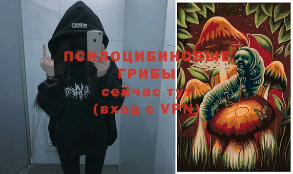соль ск Балабаново