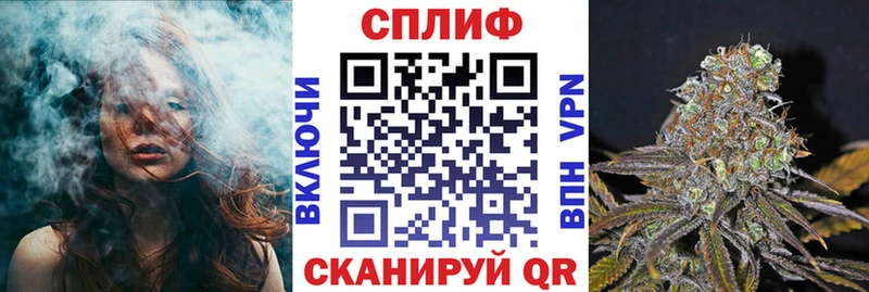 кракен   где купить наркоту  Шали  Бошки Шишки MAZAR 